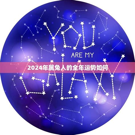 2024年属